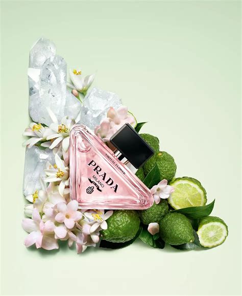 prada alexa florina pfa|Prada Paradoxe Virtual Flower ~ New Fragrances .